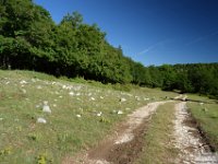 2026-06-13 Da m. San Nicola al Sirente 031